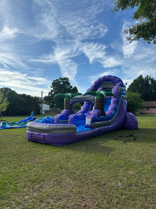 Purple Plunge Single Lane Water Slide