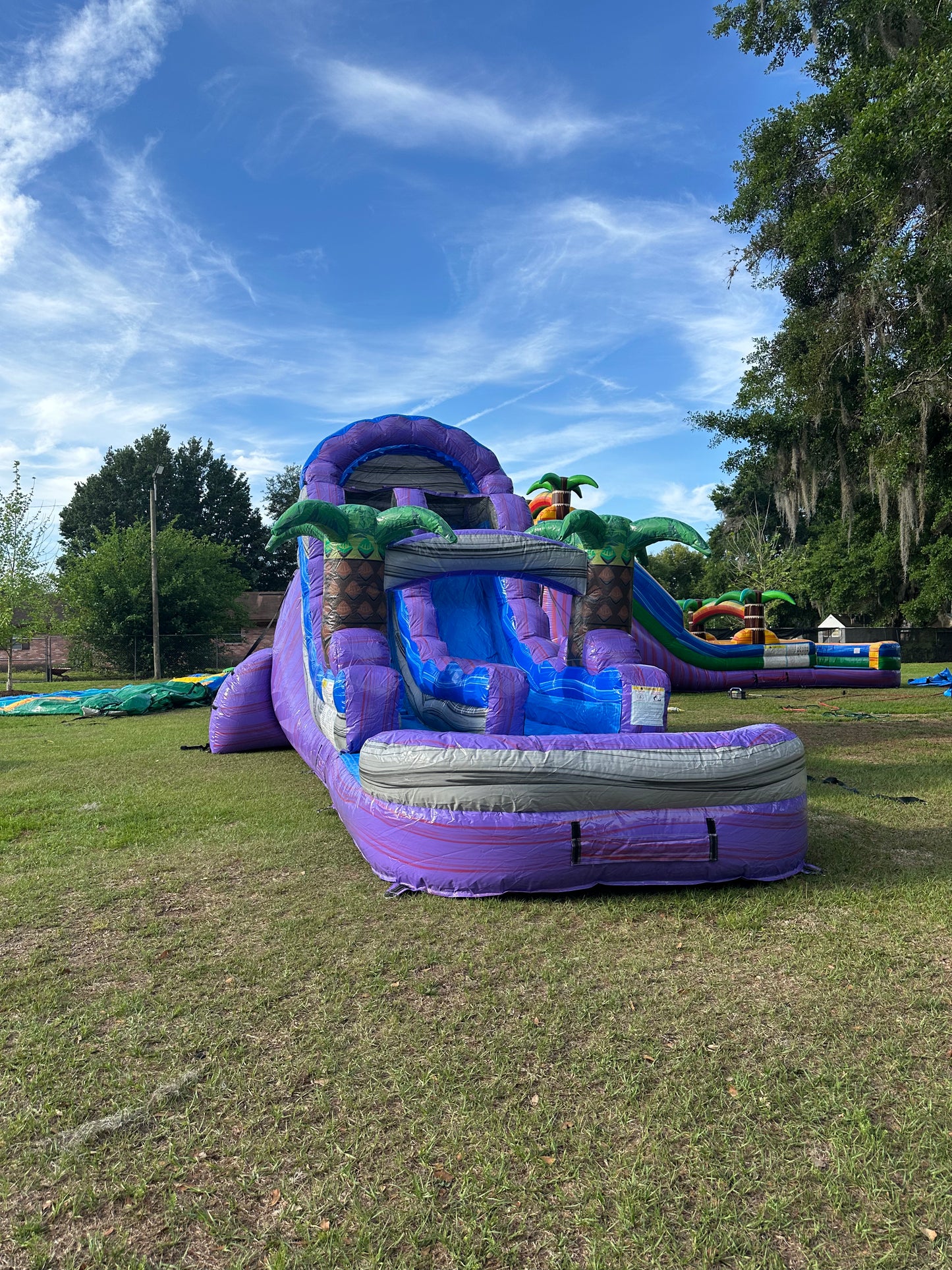 Purple Plunge Single Lane Water Slide